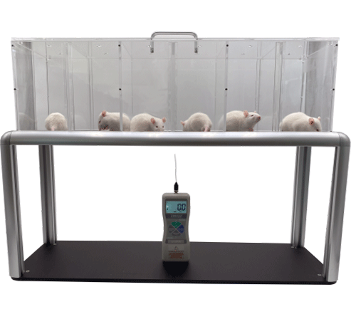 大小鼠足底机械刺痛仪